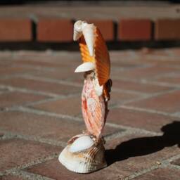 Owl Art Sculpture, Seashell Table Sculpture Decor - thumbnail 2