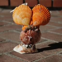 Owl Art Sculpture, Seashell Table Sculpture Decor - thumbnail 3