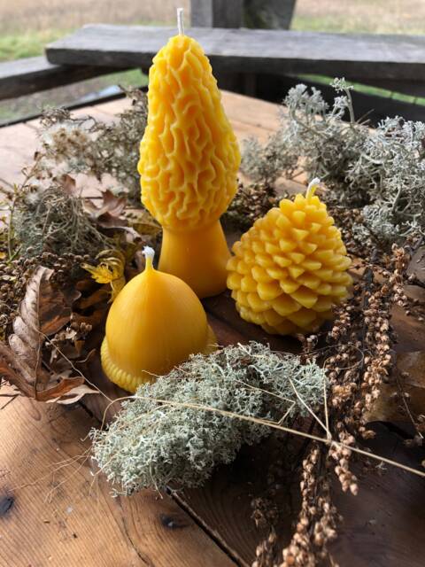 Michigan Beeswax Candle Set Acorn, Pinecone, Morel Mushroom - image 1