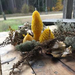 Michigan Beeswax Candle Set Acorn, Pinecone, Morel Mushroom - thumbnail 4