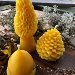 Michigan Beeswax Candle Set Acorn, Pinecone, Morel Mushroom - thumbnail 2