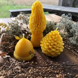 Michigan Beeswax Candle Set Acorn, Pinecone, Morel Mushroom - thumbnail 3