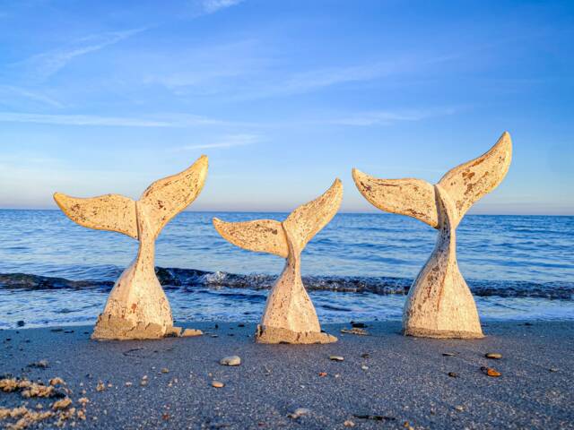 Whale Fin As A Set Of 3 Made Wood in Beige Shabby Chic - image 1