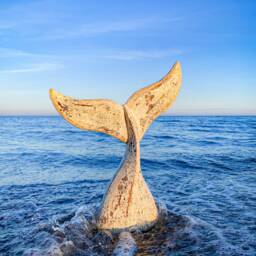 Whale Fin As A Set Of 3 Made Wood in Beige Shabby Chic - thumbnail 3