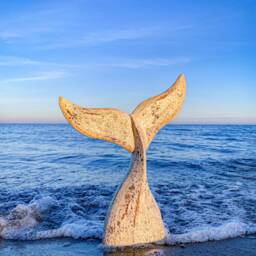 Whale Fin As A Set Of 3 Made Wood in Beige Shabby Chic - thumbnail 2