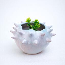 Colorful Ceramic Planter, Ceramic Planter For Cactus, Succulent, Air Plant, Mini Pot, Stoneware Planter, Pottery Planter - thumbnail 4