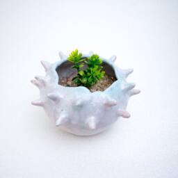 Colorful Ceramic Planter, Ceramic Planter For Cactus, Succulent, Air Plant, Mini Pot, Stoneware Planter, Pottery Planter - thumbnail 1