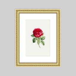 6x4/7x5 8x6 9x6 10x8 11x9 12x10 12x8 14x11 16x12 18x12 20x16 Gold Picture Frame, Vintage Shabby Chic Poster - thumbnail 3