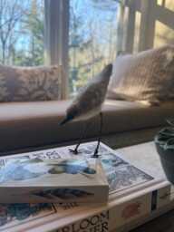 Needle-Felted Alpaca Wool Bird Statue - thumbnail 1