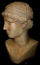 Greek Head Of The Lemnia Athena Sculpture Bust - thumbnail 3