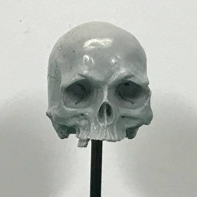 1/7Th Scale Grey Just A Few Teeth Resin Skull Perfect For 10 Inch Figures - image 1