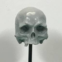 1/7Th Scale Grey Just A Few Teeth Resin Skull Perfect For 10 Inch Figures - thumbnail 1