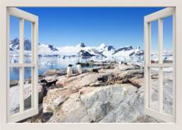 Penguins Wall Sticker, 3D Window Decal, Snow Iceberg Frame Home Living Room Decor
