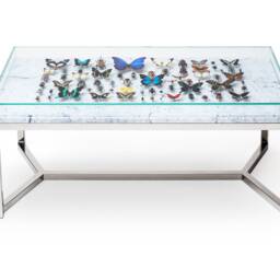 Fauna - Modern Coffee Table, Handmade, Luxurious, Elegant & Original, Butterflies - thumbnail 2