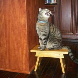 Oak Step Stool, Furniture - thumbnail 4