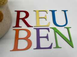 Painted Wooden Letters Names For Toy Boxes, Storage & Nursery Decor - Box Optional