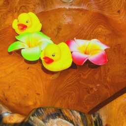 Teak Root Bird Bath - 100cm Tall - Hand Carved, Natural Wood - thumbnail 4