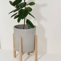 Oak Plant Stand Whit Concrete Pot - thumbnail 4