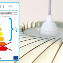 Nefi Wood Pendant Light, Lighting, Light Fittings - thumbnail 4
