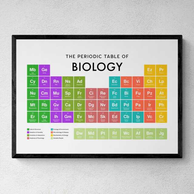 Biology Periodic Table Print, Poster Wall Art, Gifts - image 1