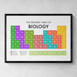 Biology Periodic Table Print, Poster Wall Art, Gifts - thumbnail 1