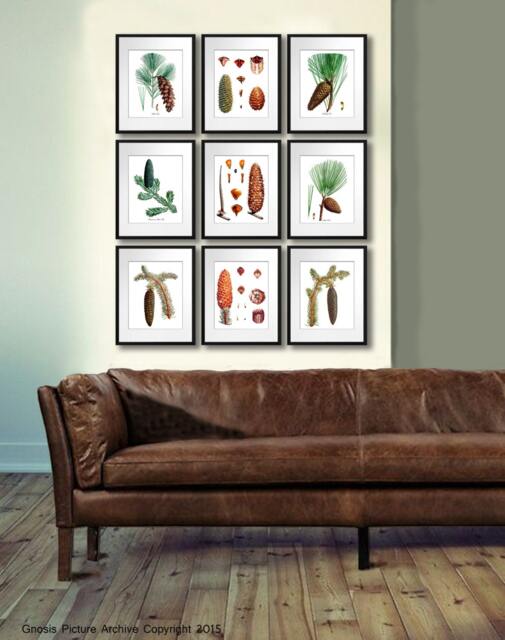 Woodland Wall Decor Set Of 9 Pine Cone Tree Conifers Fir Tree - image 1