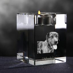 Catahoula Cur - Crystal Candlestick With Dog, Souvenir, Decoration, Limited Edition, Collection - thumbnail 2