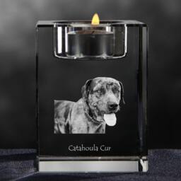 Catahoula Cur - Crystal Candlestick With Dog, Souvenir, Decoration, Limited Edition, Collection - thumbnail 3