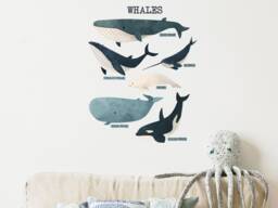 Whale Wall Sticker Pack, Underwater Decals, Stickers For Walls, Themed Room, Ocean Stickers, Named Whales - thumbnail 1