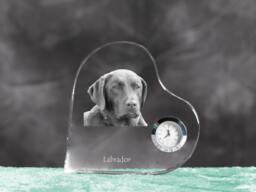 Labrador Retriever - Crystal Clock in The Shape Of A Heart With Image Pure-Bred Dog - thumbnail 1