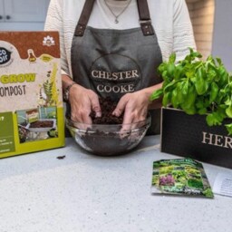 Engraved Wood Herb Garden Kit, Windowsill Planter With Seeds, Mother's Day Gift - thumbnail 2