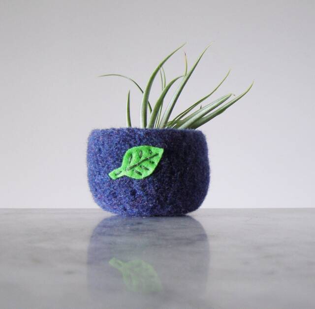 Felted Wool Bowl in Royal Blue With Neon Green Leaf - Air Plant Planter Tillandsia Home Gifts For Gardeners - image 1