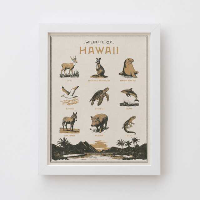 Hawaii Wildlife Wall Art Print - Vintage Animal Poster Design, Archival Quality Matte Fine Art Print. Outdoor, State Gift - image 1