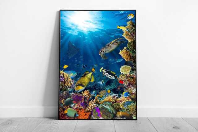 Vibrant Underwater Coral Reef Scene Framed Ocean Photography Print For Home Decor - image 1