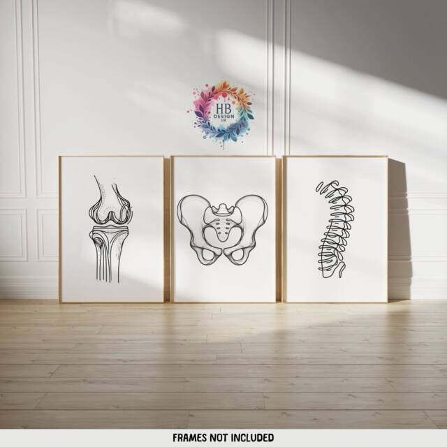 Chiropractic Poster Set - 3 Line Art Prints - Chiropractor Office Decor Anatomy Wall Chiro Clinic Artwork Medical Room Print - image 1