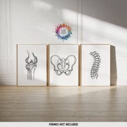 Chiropractic Poster Set - 3 Line Art Prints - Chiropractor Office Decor Anatomy Wall Chiro Clinic Artwork Medical Room Print - thumbnail 1