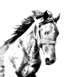 Mustang - Wooden Stand For Candles/Pens With The Image Of A Horse New Collection - thumbnail 2