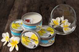 Byron Bay- Frangipani Scent - Soy Wax Candle in 8Oz Decorative Tin - thumbnail 1