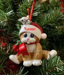 Personalized Ginger Kitty Christmas Ornament, Resin Keepsake