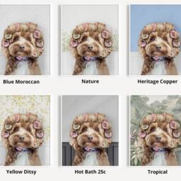 Cockapoo Dog in Hair Curlers Rollers Print, Dog Bathing, Funny Bathroom Animal Toilet Art, Rollers, Bath, Whimsy - thumbnail 3