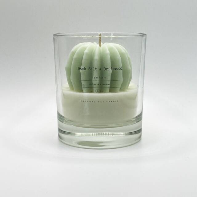 Terrarium Candle in Glass 3D Cactus - Gift For Plant Lover Coconut Wax Rock Salt & Driftwood 30Cl - image 1
