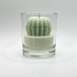 Terrarium Candle in Glass 3D Cactus - Gift For Plant Lover Coconut Wax Rock Salt & Driftwood 30Cl - thumbnail 1