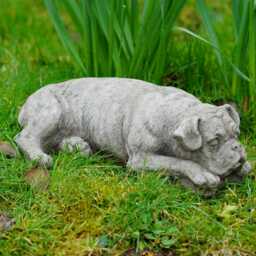 Boxer Dog Stone Statue - Outdoor Garden Ornament British Made Puppy Pet Sculpture Decoration - thumbnail 3