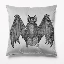 Bat Grey Cushion Velvet 45cm X Cushions Pillows Limited Edition - thumbnail 1
