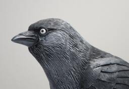 Jackdaw Bird Statue Hand Cast Resin Figurine - thumbnail 4