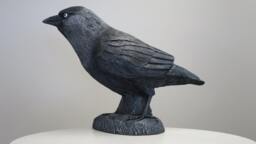 Jackdaw Bird Statue Hand Cast Resin Figurine