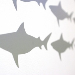 Fun Shark Vinyl Wall Art Decals/stickers - Various Colours & Sizes - thumbnail 2