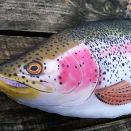 Fish Pillow Salmon Trout Neck Animal Relax Fisherman Gift - thumbnail 4