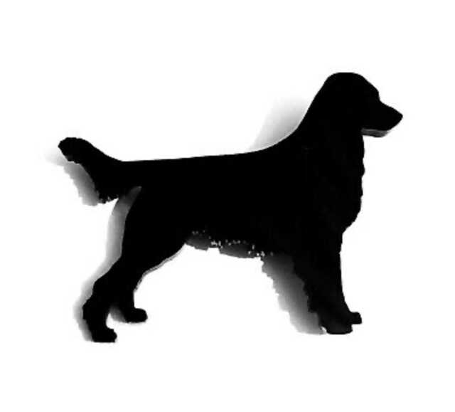 Flat Coat Retriever Dog Wall Art Kennel Plaque Sign in Black Acrylic - image 1