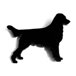 Flat Coat Retriever Dog Wall Art Kennel Plaque Sign in Black Acrylic - thumbnail 2